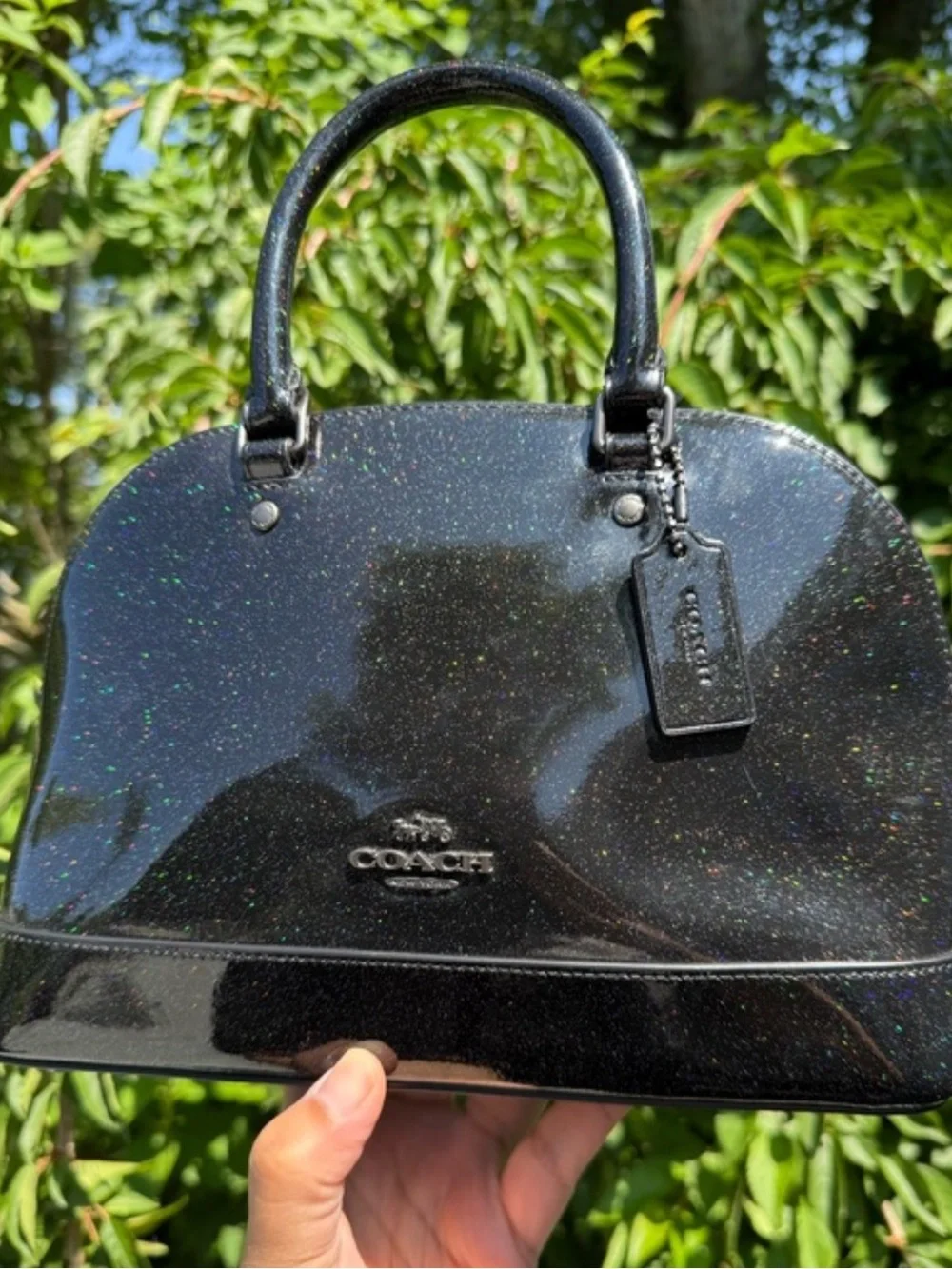 Coach sleek dome